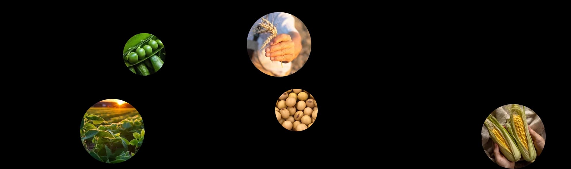 Sobre imagem 2
